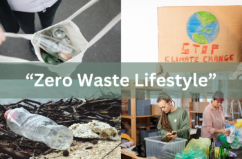 Embracing the Zero Waste Lifestyle: Saving the Planet, One Step at a Time